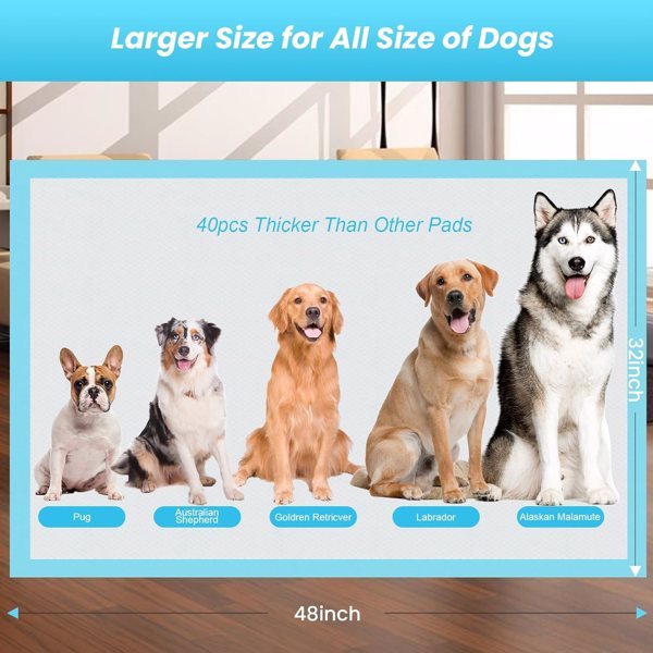 Dog Urine Pads - Essential Loved For Dogs, 40PCS