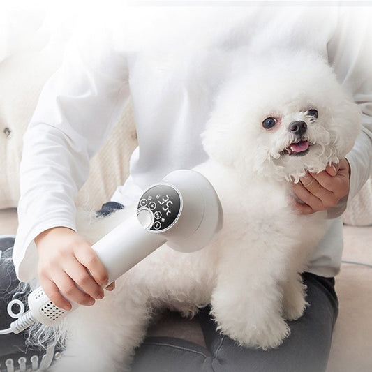 Golden Retriever Cat Grooming Hairdressing Blow & Comb Silent No Harm Pet Cleaning Supplies Pet Products | Dog Hair Dryer - Essential Loved
