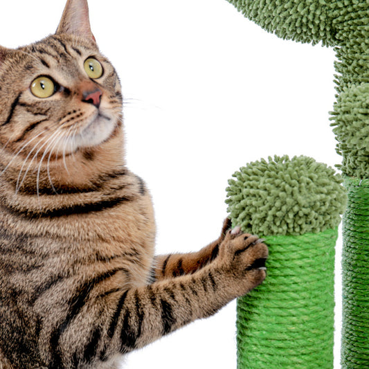 Zongzi Colored Scratching Pillar | Cat Cactus Scratching Post - Essential Loved