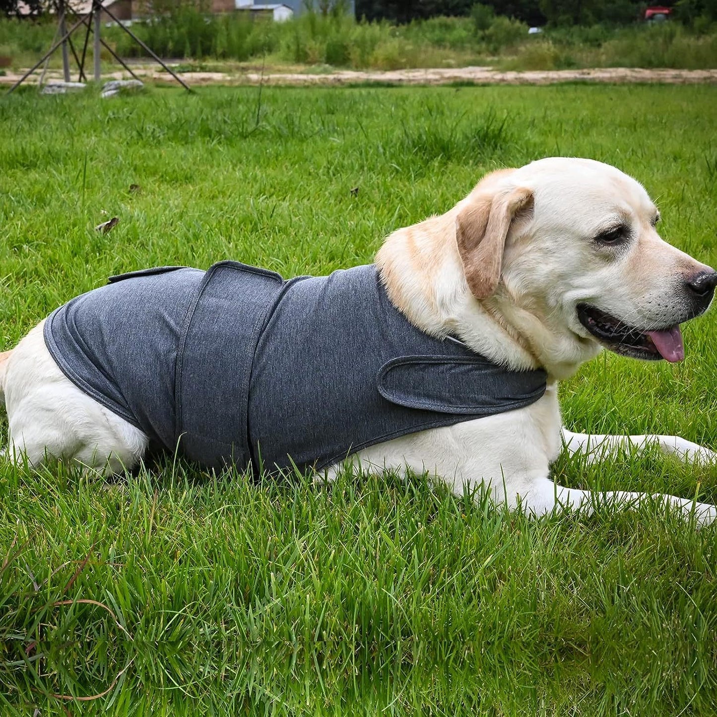 Cozy Comfort Pet Wear Anxiety Jacket For Dogs - Essential Loved