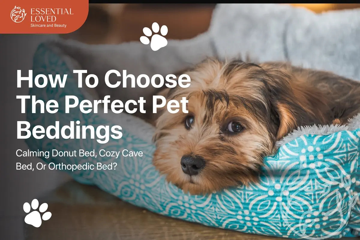 How To Choose The Perfect Pet Beddings  — Calming Donut Bed, Cozy Cave Bed, Or Orthopedic Bed?