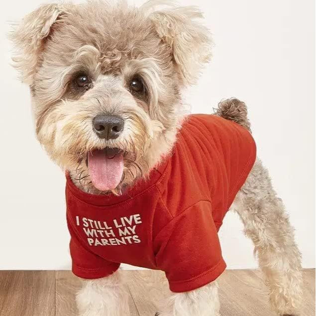 Pet Clothes Round Neck T-shirt