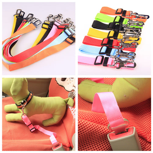 Fixed Polyester Dog Leash Safety Strap - Essential Loved