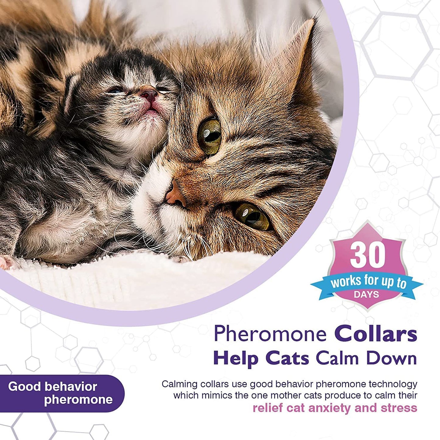 Pet Calm Collar Cat Comfort Collar Relieve Anxiety