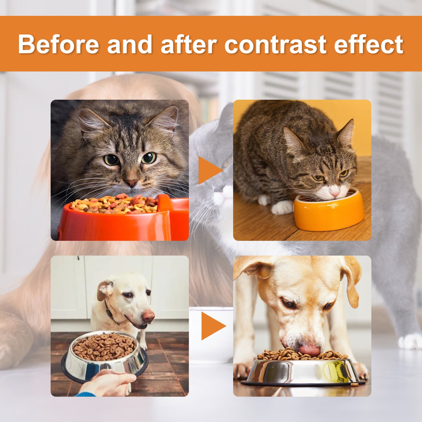 Relieve Anxiety - Hemp Seed Oil Health Enhancement Care Essence | Essential Oils To Calm Dogs - Essential Loved