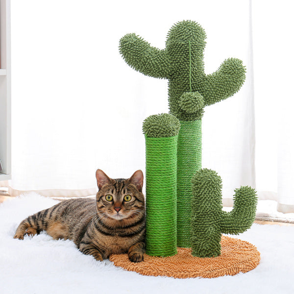 Zongzi Colored Cactus Cat Scratcher - Essential Loved