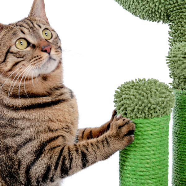 Zongzi Colored Cactus Cat Scratcher - Essential Loved
