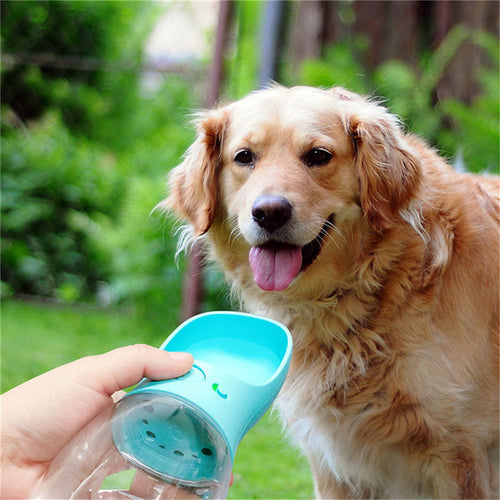 Pet Outdoor Portable Essential | Dog Water Bottle - Essential Loved