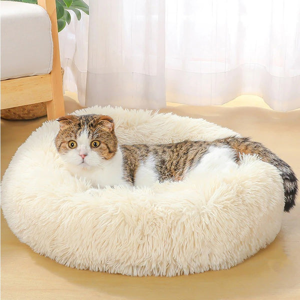 Washable For Comfortable Sleep | Plush Pet Cat Bed - Essential Loved