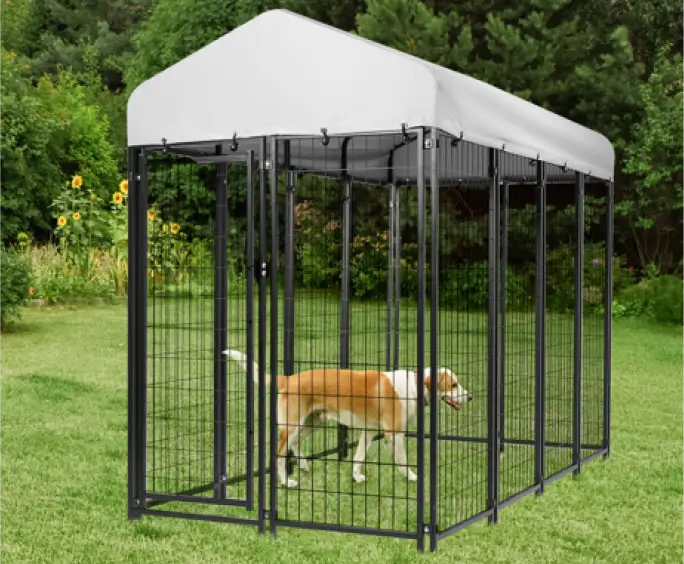 Pet Fence Image
