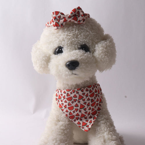 Colorful Fruit Series Bow Triangular Binder | Watermelon Dog Collar - Essential Loved