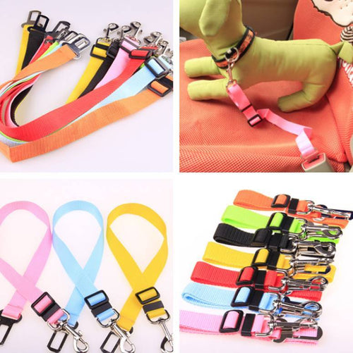 Fixed Polyester Dog Leash Safety Strap - Essential Loved