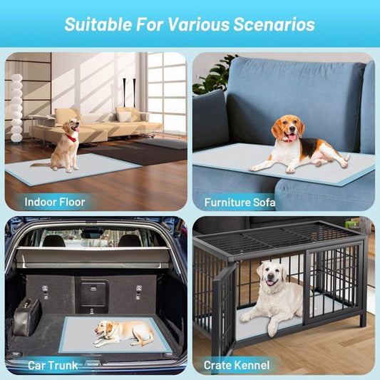 Dog Urine Pads - Essential Loved