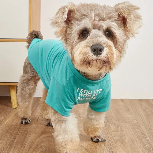 Pet Clothes Round Neck - Dog Clothes T-Shirt - Essential Loved