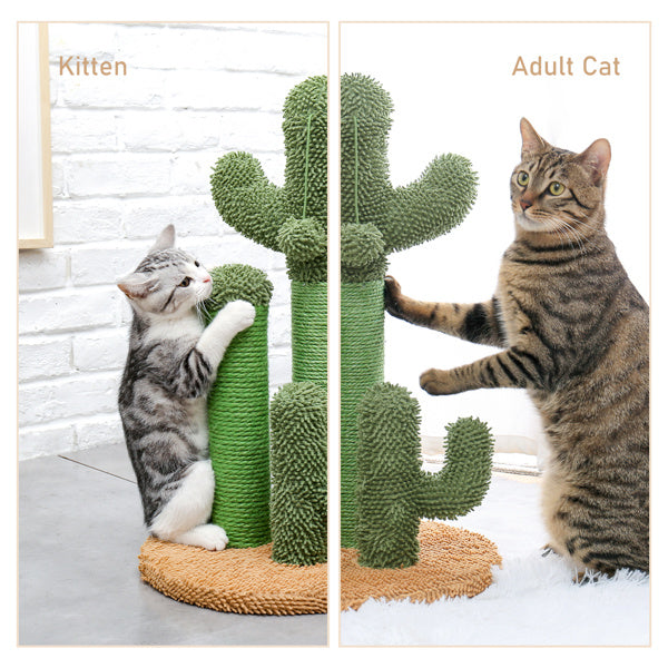 Zongzi Colored Cactus Cat Scratcher - Essential Loved