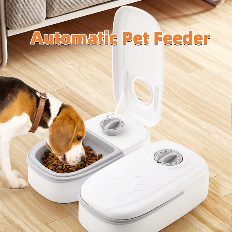 Automatic Food Dispenser For Cats Dogs Stainless Steel Bowl Auto | Pet Feeder For Cats - Essential Loved