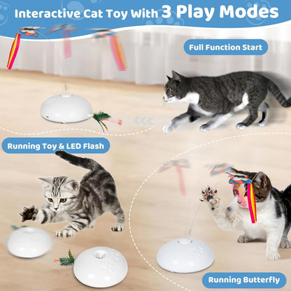 Automatic Cat Toys, Indoor Cat | Interactive Cat Toys - Essential Loved
