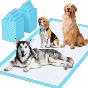 Dog Urine Pads - Essential Loved
