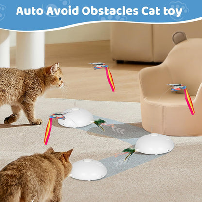 Automatic Cat Toys, Indoor Cat | Interactive Cat Toys - Essential Loved