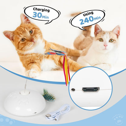 Automatic Cat Toys, Indoor Cat | Interactive Cat Toys - Essential Loved