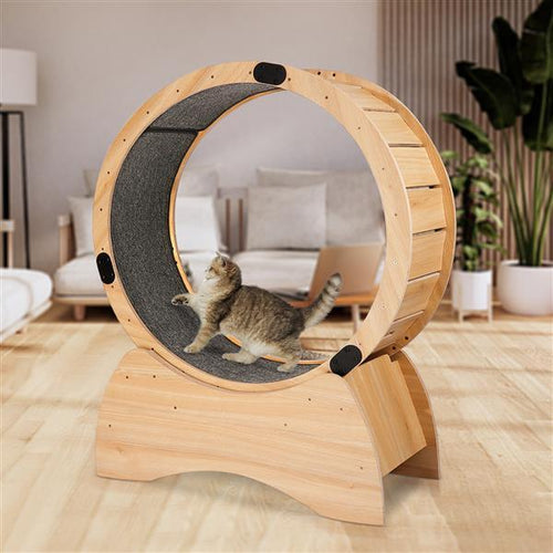 Pet Running And Fitness Cat Exercise Wheel - Essential Loved